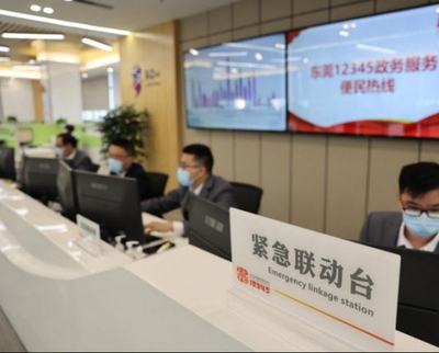 以“莞”家情懷，筑服務(wù)型政府信息咨詢(xún)新標(biāo)桿